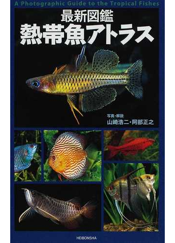 最新図鑑熱帯魚アトラスの通販 山崎 浩二 阿部 正之 紙の本 Honto本の通販ストア 最新図鑑熱帯魚アトラスの通販 山崎 浩二 阿部 正之 紙の本 Honto本の通販ストア