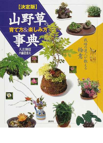 山野草の育て方 楽しみ方事典 決定版 栽培の達人が教える極意の通販 久志 博信 内藤 登喜夫 紙の本 Honto本の通販ストア
