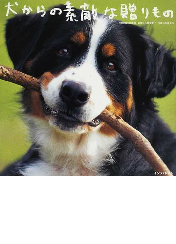 犬からの素敵な贈りものの通販 木寺 良三 石原 美紀子 紙の本 Honto本の通販ストア
