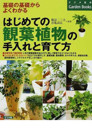 はじめての観葉植物の手入れと育て方 基礎の基礎からよくわかるの通販 橋詰 二三夫 谷亀 高広 紙の本 Honto本の通販ストア