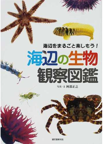 海辺の生物観察図鑑 海辺をまるごと楽しもう の通販 阿部 正之 紙の本 Honto本の通販ストア