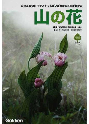 山の花 イラストでちがいがわかる名前がわかる 山の花８００種の通販 久保田 修 藤田 和生 紙の本 Honto本の通販ストア