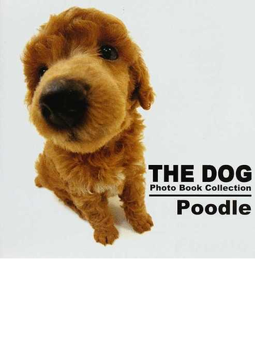 the dog photo book collection poodleの通販 artlist international 紙の本 Honto本の通販ストア the dog photo book collection poodleの通販 artlist international 紙の本 Honto本の通販ストア