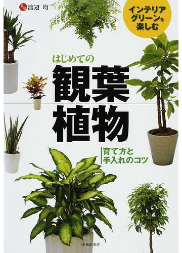 はじめての観葉植物 インテリアグリーンを楽しむ 育て方と手入れのコツの通販 渡辺 均 紙の本 Honto本の通販ストア