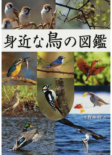 身近な鳥の図鑑の通販 平野 伸明 紙の本 Honto本の通販ストア