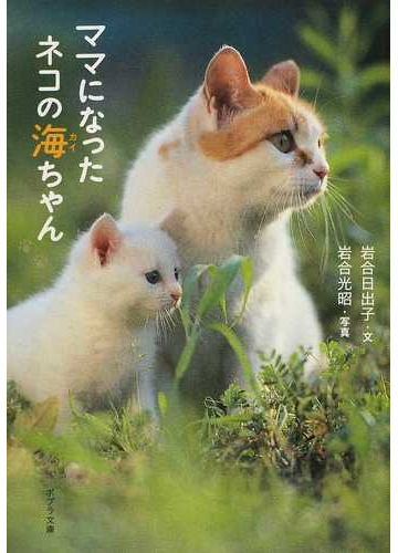 ママになったネコの海ちゃんの通販 岩合 日出子 岩合 光昭 ポプラ文庫 紙の本 Honto本の通販ストア