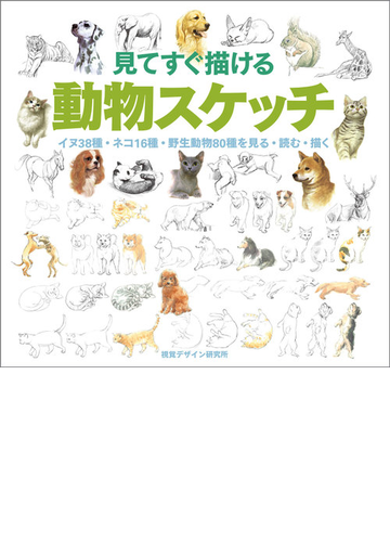 見てすぐ描ける動物スケッチ イヌ３８種 ネコ１６種 野生動物８０種を見る 読む 描くの通販 視覚デザイン研究所 紙の本 Honto本の通販ストア
