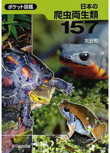 日本の爬虫両生類１５７の通販 大谷 勉 紙の本 Honto本の通販ストア