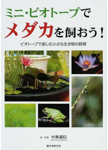 ミニ ビオトープでメダカを飼おう ビオトープで楽しむ小さな生き物の飼育の通販 小林 道信 紙の本 Honto本の通販ストア