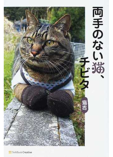 両手のない猫、チビタ