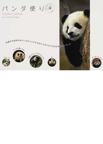 パンダ便り ｆｒｏｍ ｃｈｉｎａ 中国の大自然の中でくらすパンダたちのことがイロイロわかるフォトブックの通販 ヘザー エンジェル 山下 理恵子 紙の本 Honto本の通販ストア