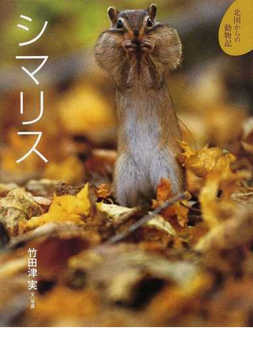 シマリスの通販 竹田津 実 紙の本 Honto本の通販ストア