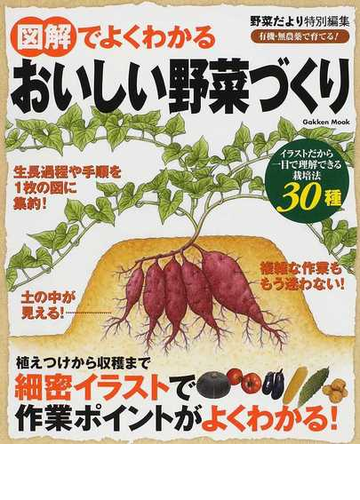 図解でよくわかるおいしい野菜づくり イラストだから栽培法がわかりやすいの通販 紙の本 Honto本の通販ストア