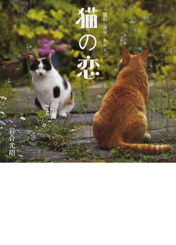 猫の恋 猫句の通販 岩合 光昭 石 寒太 紙の本 Honto本の通販ストア