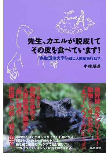 先生 カエルが脱皮してその皮を食べています の通販 小林 朋道 紙の本 Honto本の通販ストア