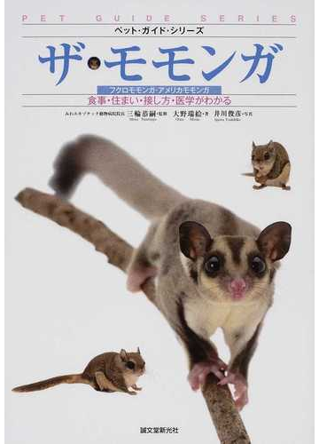 ザ モモンガ フクロモモンガ アメリカモモンガ 食事 住まい 接し方 医学がわかるの通販 大野 瑞絵 三輪 恭嗣 紙の本 Honto本の通販ストア