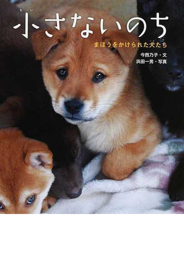 小さないのち まほうをかけられた犬たちの通販 今西 乃子 浜田 一男 紙の本 Honto本の通販ストア