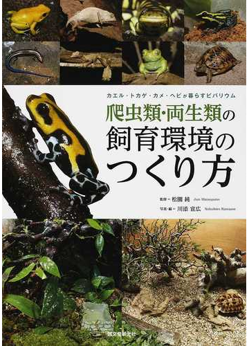 爬虫類 両生類の飼育環境のつくり方 カエル トカゲ カメ ヘビが暮らすビバリウムの通販 松園 純 川添 宣広 紙の本 Honto本の通販ストア