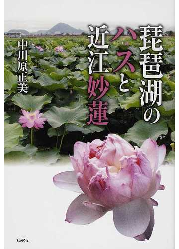 琵琶湖のハスと近江妙蓮の通販 中川原 正美 紙の本 Honto本の通販ストア