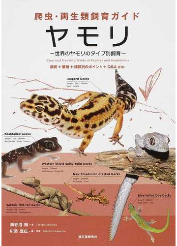 ヤモリ 世界のヤモリのタイプ別飼育 飼育 繁殖 種類別のポイント ｑ ａ ｅｔｃ の通販 海老沼 剛 川添 宣広 紙の本 Honto本の通販ストア