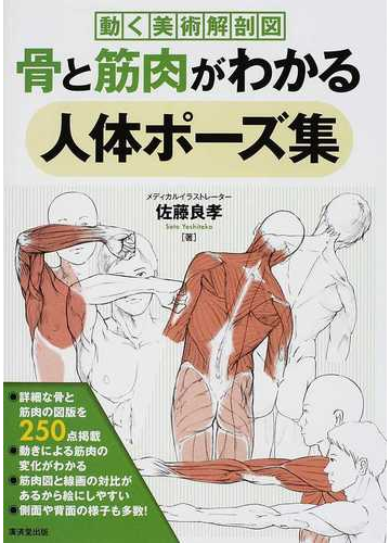 骨と筋肉がわかる人体ポーズ集の通販 佐藤 良孝 コミック Honto本の通販ストア