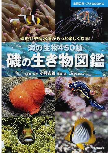 磯の生き物図鑑 海の生物４５０種 磯遊びや海水浴がもっと楽しくなる の通販 小林 安雅 こばやし まさこ 紙の本 Honto本の通販ストア