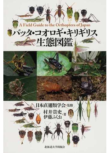 バッタ コオロギ キリギリス生態図鑑の通販 村井 貴史 伊藤 ふくお 紙の本 Honto本の通販ストア バッタ コオロギ キリギリス生態図鑑の通販 村井 貴史 伊藤 ふくお 紙の本 Honto本の通販ストア