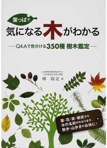 葉っぱで気になる木がわかる ｑ ａで見分ける３５０種樹木鑑定の通販 林 将之 紙の本 Honto本の通販ストア