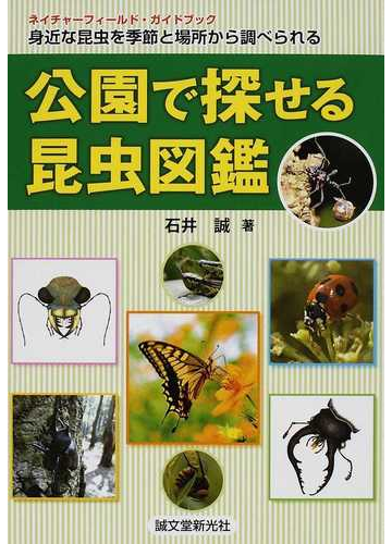 公園で探せる昆虫図鑑 身近な昆虫を季節と場所から調べられる ネイチャーフィールド ガイドブックの通販 石井 誠 紙の本 Honto本の通販ストア