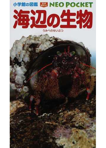 海辺の生物の通販 白山 義久 松沢 陽士 紙の本 Honto本の通販ストア