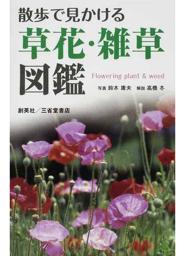 散歩で見かける草花 雑草図鑑の通販 鈴木 庸夫 高橋 冬 紙の本 Honto本の通販ストア