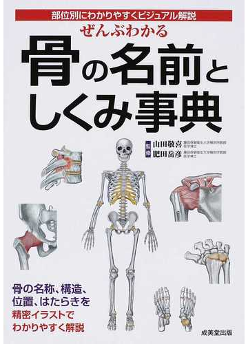 ぜんぶわかる骨の名前としくみ事典 部位別にわかりやすくビジュアル解説の通販 山田 敬喜 肥田 岳彦 紙の本 Honto本の通販ストア