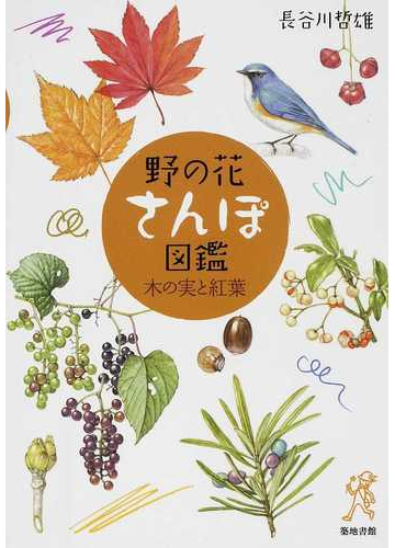 野の花さんぽ図鑑 木の実と紅葉の通販 長谷川 哲雄 紙の本 Honto本の通販ストア