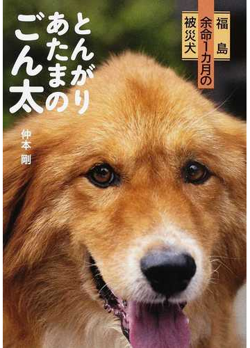 とんがりあたまのごん太 福島余命１カ月の被災犬の通販 仲本 剛 紙の本 Honto本の通販ストア