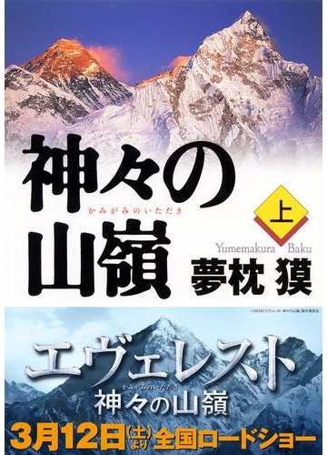 自宅にいながら最高峰へ 登山家の気持ちを疑似体験できる本 Hontoブックツリー