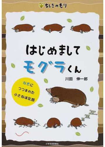 はじめましてモグラくん なぞにつつまれた小さなほ乳類の通販 川田 伸一郎 紙の本 Honto本の通販ストア