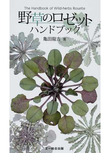野草のロゼットハンドブックの通販 亀田 龍吉 紙の本 Honto本の通販ストア