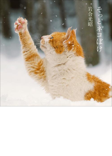 そっとネコぼけ 岩合光昭写真集の電子書籍 Honto電子書籍ストア