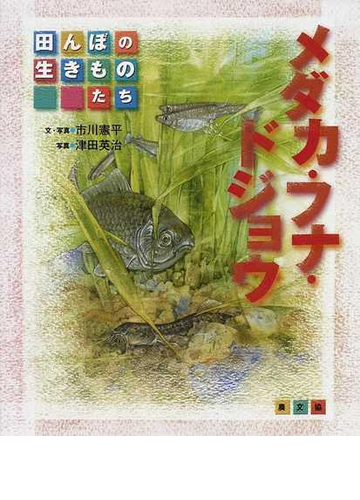 メダカ フナ ドジョウの通販 市川 憲平 津田 英治 紙の本 Honto本の通販ストア