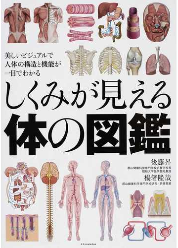 しくみが見える体の図鑑 美しいビジュアルで人体の構造と機能が一目でわかるの通販 後藤 昇 楊箸 隆哉 紙の本 Honto本の通販ストア