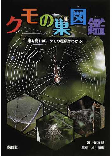 クモの巣図鑑 巣を見れば クモの種類がわかる の通販 新海 明 谷川 明男 紙の本 Honto本の通販ストア