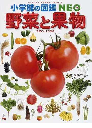 野菜と果物の通販 板木 利隆 真木 文絵 紙の本 Honto本の通販ストア