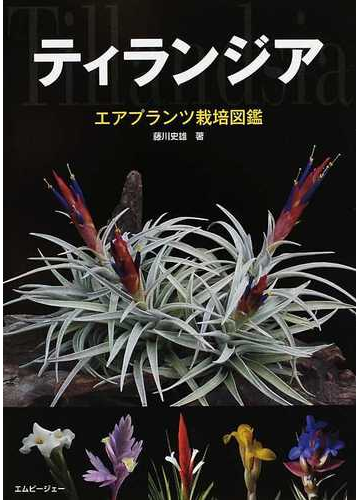 ティランジア エアプランツ栽培図鑑の通販 藤川 史雄 大美賀 隆 紙の本 Honto本の通販ストア