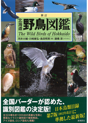 北海道野鳥図鑑 新訂の通販 河井 大輔 川崎 康弘 紙の本 Honto本の通販ストア 北海道野鳥図鑑 新訂の通販 河井 大輔 川崎 康弘 紙の本 Honto本の通販ストア