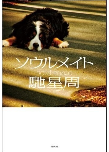 ソウルメイトの通販 馳 星周 小説 Honto本の通販ストア