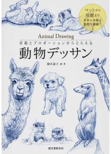 骨格とプロポーションからとらえる動物デッサン ペットから珍獣まで世界の多様な動物を網羅 の通販 岡本 泰子 紙の本 Honto本の通販ストア