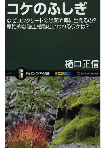 コケのふしぎ なぜコンクリートの隙間や塀に生えるの 原始的な陸上植物といわれるワケは の通販 樋口 正信 サイエンス アイ新書 紙の本 Honto本の通販ストア