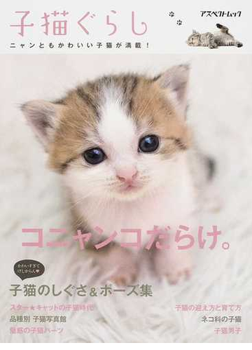 子猫ぐらし コニャンコだらけ 子猫のしぐさ ポーズ集 子猫の迎え方と育て方 ほか ニャンともかわいい子猫が満載 の通販 トラベルデイズ 紙の本 Honto本の通販ストア