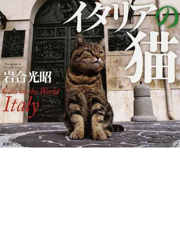 イタリアの猫の通販 岩合 光昭 紙の本 Honto本の通販ストア