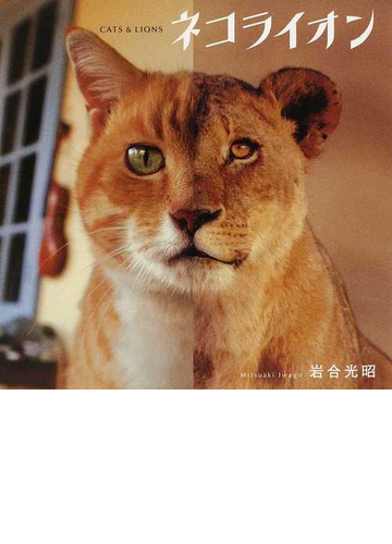 ネコライオンの通販 岩合 光昭 紙の本 Honto本の通販ストア
